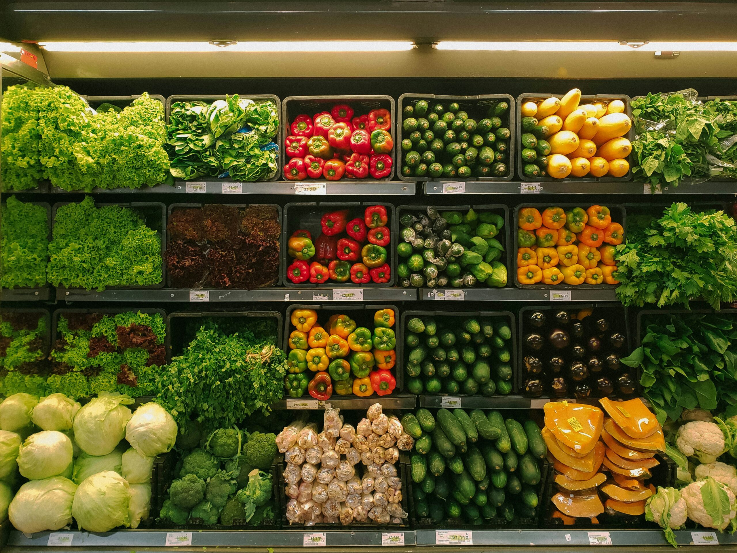 Warehouse humidity control system for food production and storage