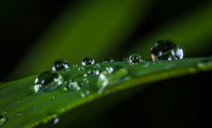 dew point