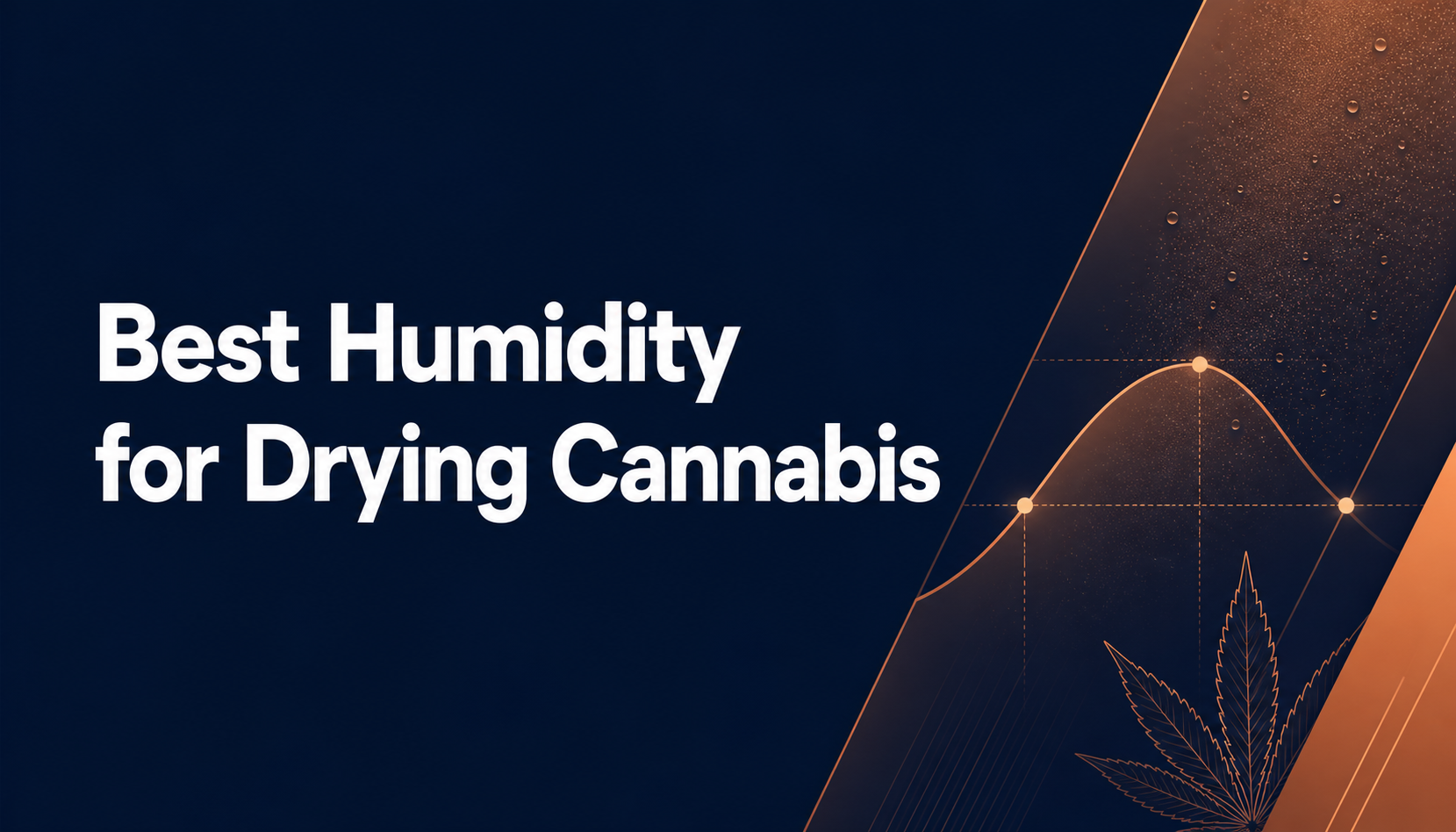 Humidity control curve for a commercial cannabis drying room