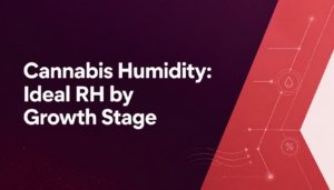 cannabis humidity